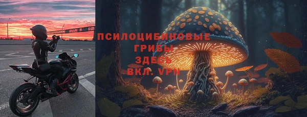мяу мяу мука Мегион