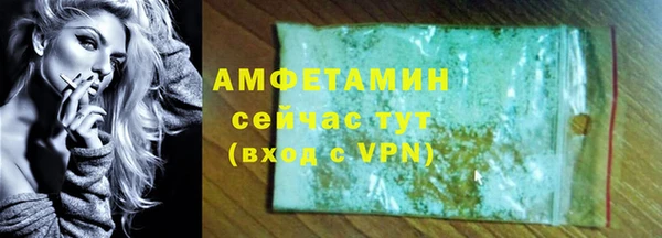прущие грибы Медногорск