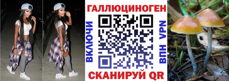 Галлюциногенные грибы Magic Shrooms  Темрюк 